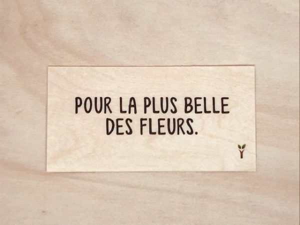 Pour la plus belle des fleurs