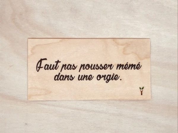 Faut pas pousser mémé dans une orgie