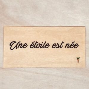 Une étoile est née