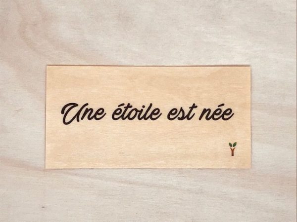 Une étoile est née