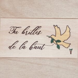tu brilles de la haut