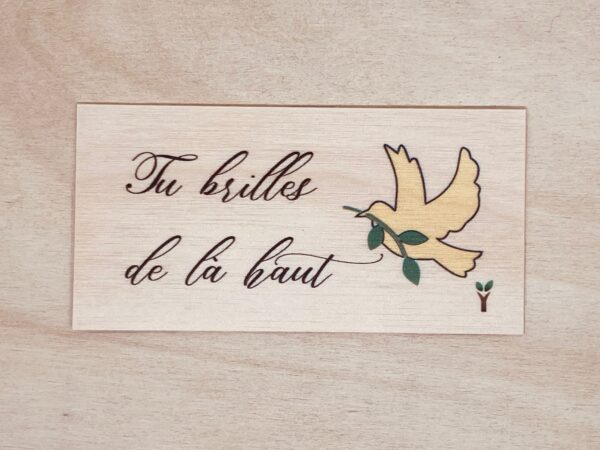 tu brilles de la haut