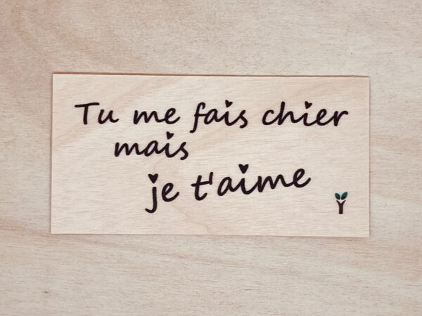tu me fais chier, mais je t'aime